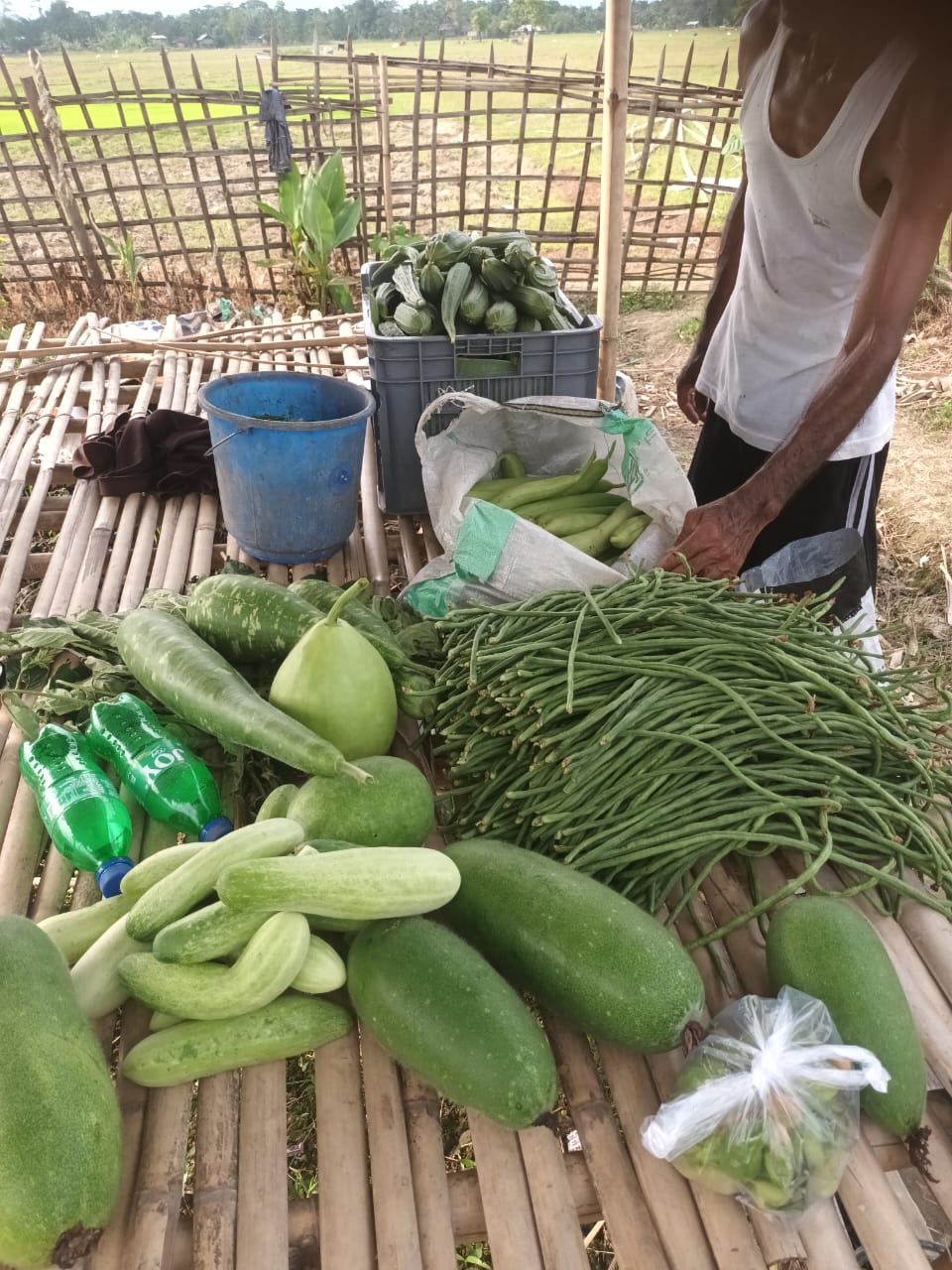 Teacher self reliant with Cultivation