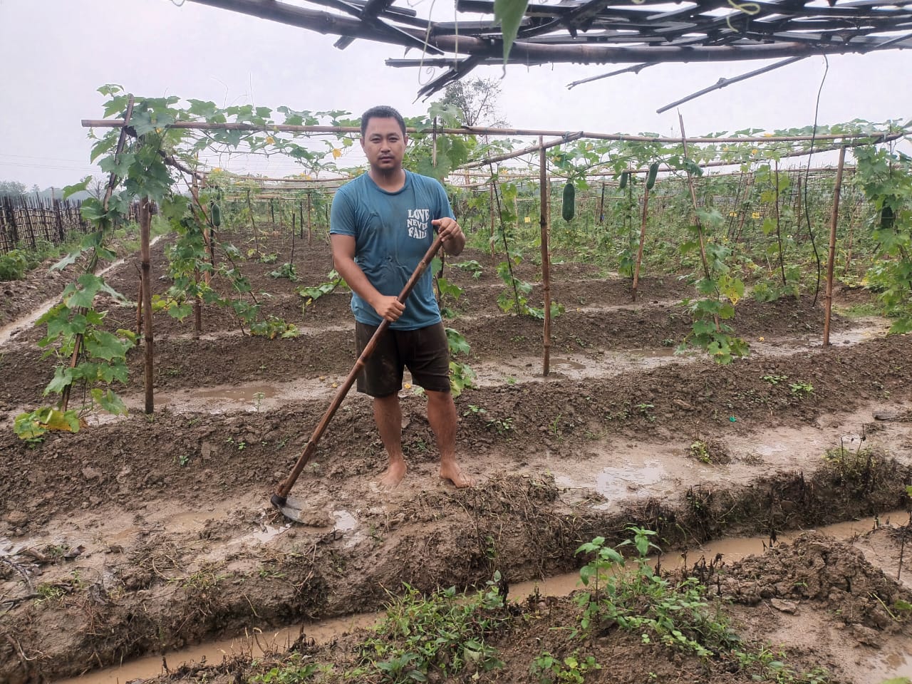 Teacher self reliant with Cultivation