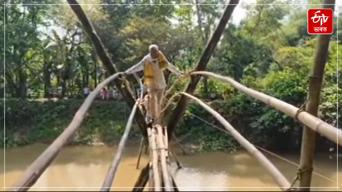 MP Phanibhushan Choudhury assured that the concrete bridge will be constructed soon