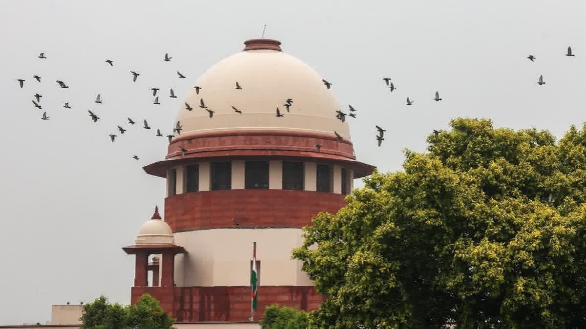 SC: Essential To Protect Forests In The Country