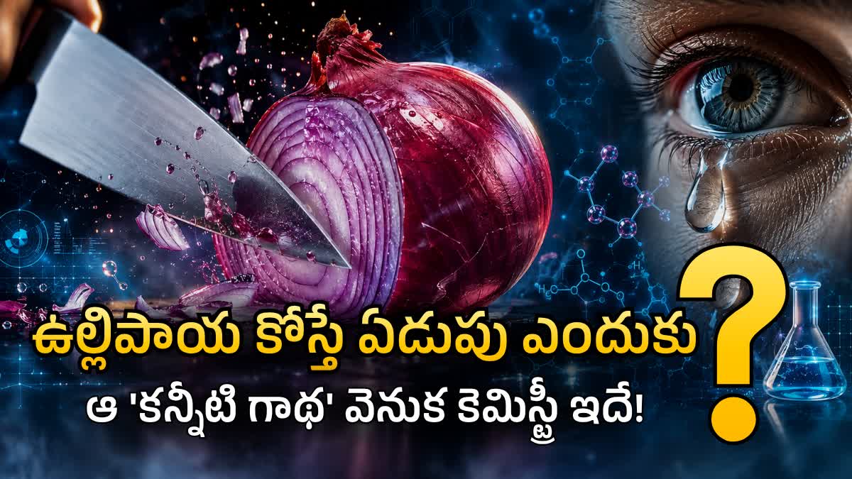 Science Behind Why Onions makes Us Cry?