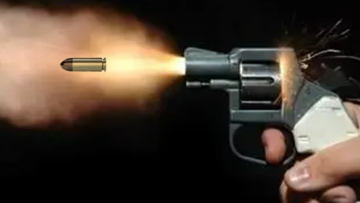 19-Year-Old Arrested For Shooting Sister Dead Over Family Dispute In Northeast Delhi DELHI SISTER SHOT DEAD