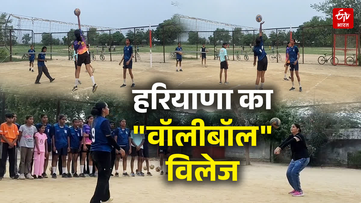 Kurukshetra Amin village emerges as a volleyball hub every household boasts medals and government jobs