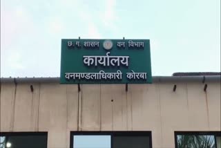 NEGLIGENCE OF FOREST DEPARTMENT