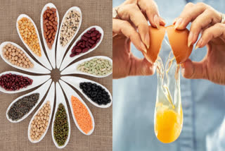 BENEFITS OF PULSES  HOW MUCH PROTEIN IS IN AN EGG  HOW MUCH PROTEIN IS IN PULSES  ಬೇಳೆ ಮತ್ತು ಮೊಟ್ಟೆಯಲ್ಲಿ ಪ್ರೋಟೀನ್