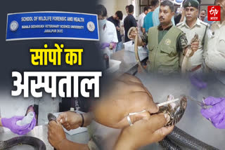 jabalpur Snakes Hospital