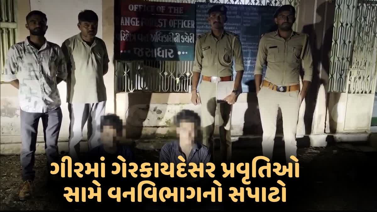 ગીરમાં ગેરકાયદેસર પ્રવૃતિઓ સામે ચાર મહિનામાં 75 ગુના નોંધાયા