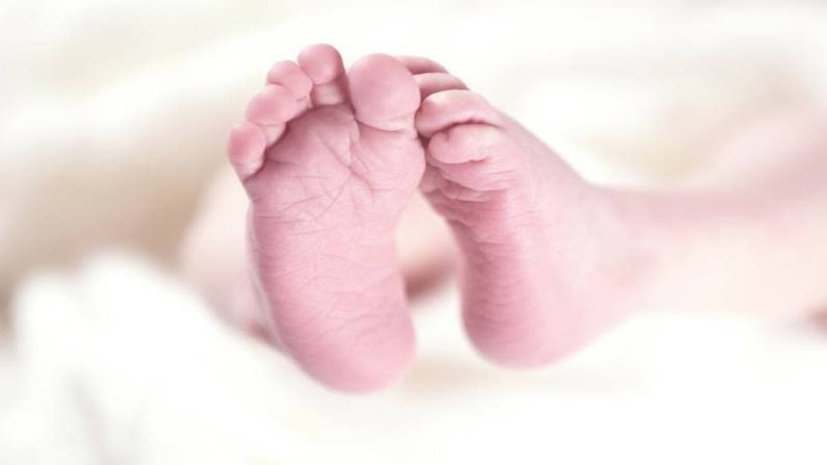 maternity leave
