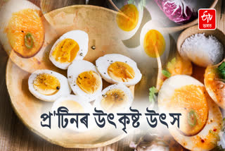Know about eggs benefits