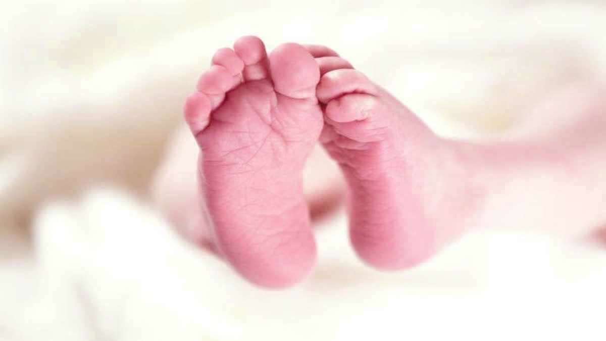 Newborn body