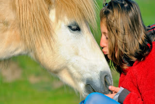 Girl kisses a miniature horse