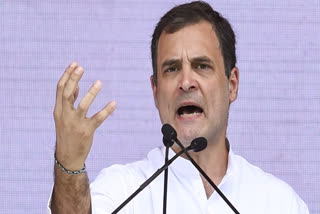Rahul Gandhi