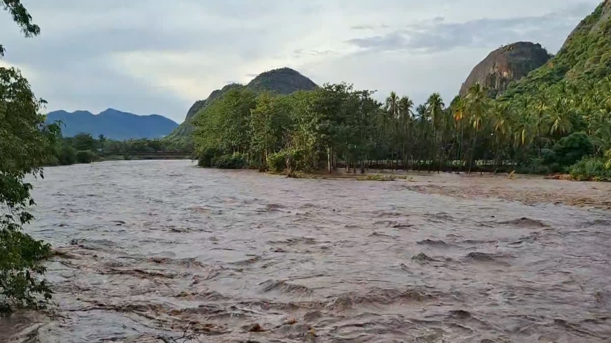 வைகை ஆற்றில் வெள்ளப் பெருக்கு! தண்ணீர் புகுந்த பகுதிகளில் எம்பி நேரில் ஆய்வு!