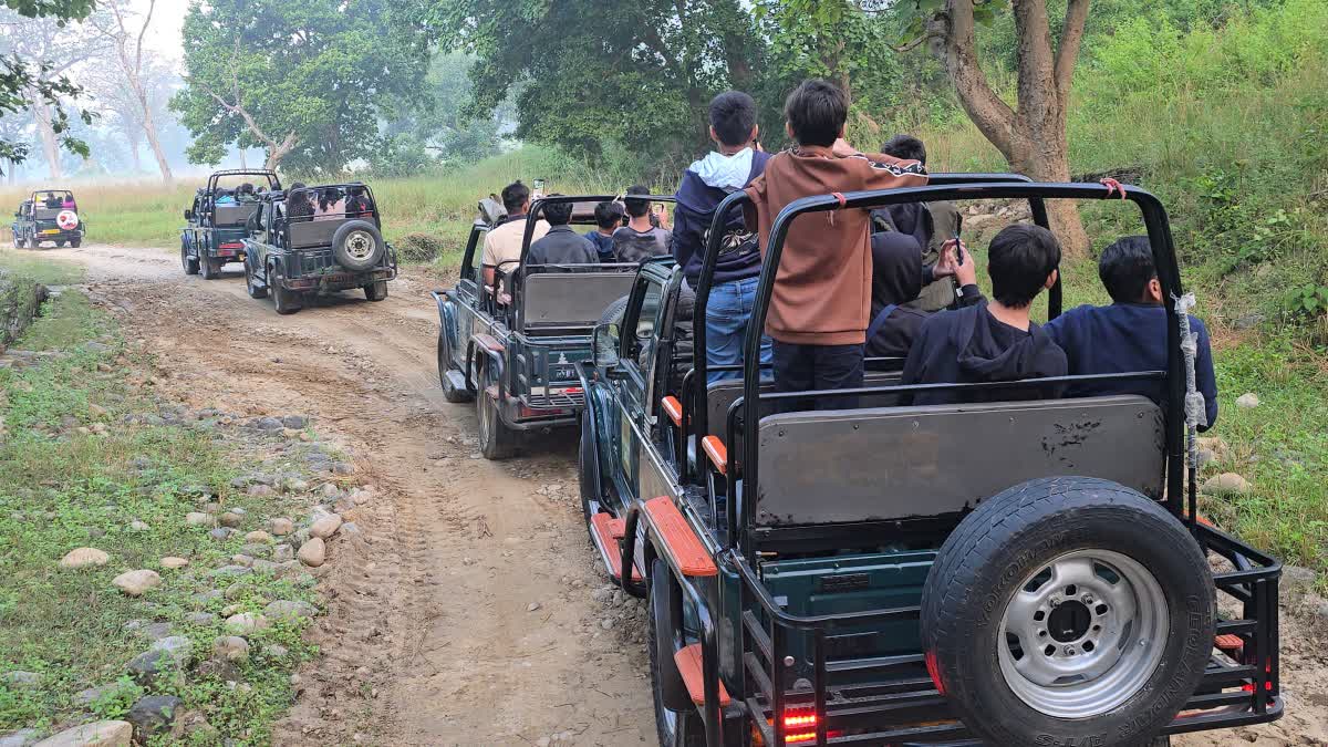 Tiger Reserve Park Bookings