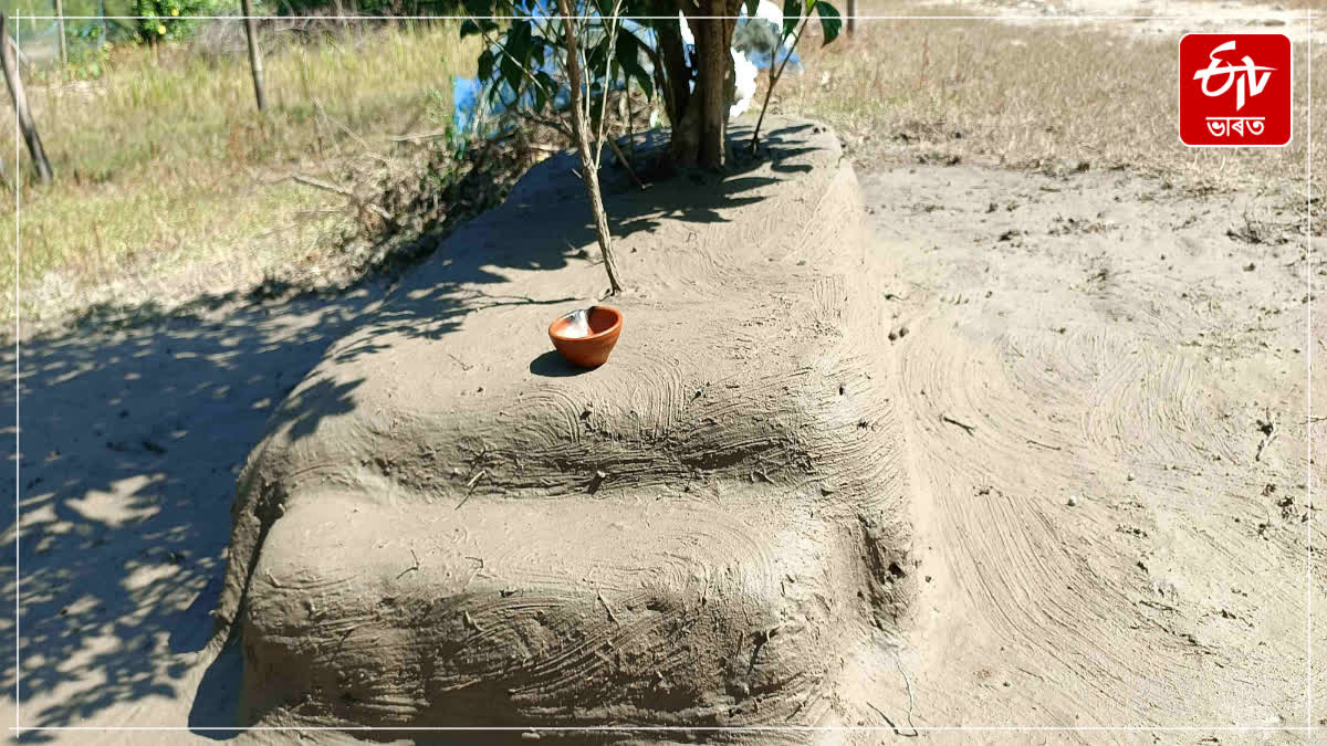 scientific facts behind the tradition of Kati Bihu