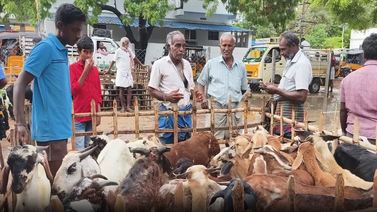 எட்டயபுரம் ஆட்டுச்சந்தை