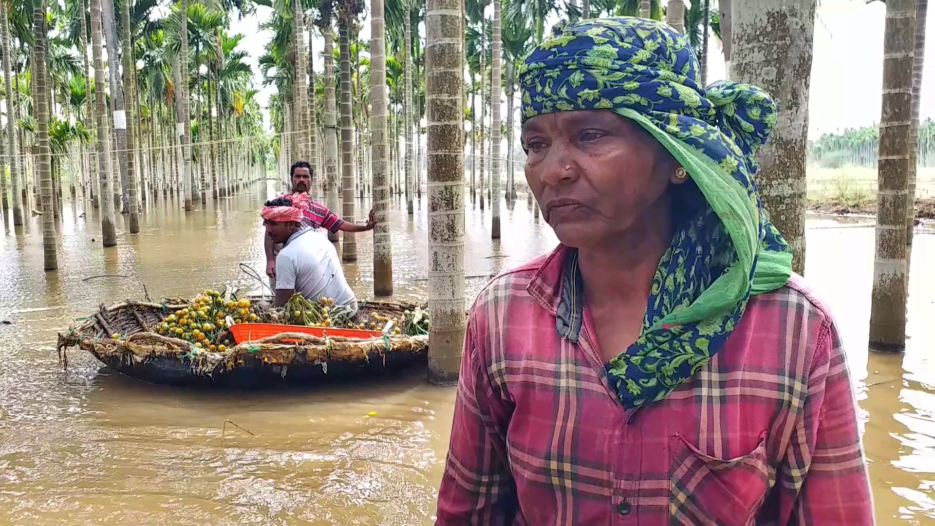 floodwaters-enter-areca-nut-plantation-in-davanagere