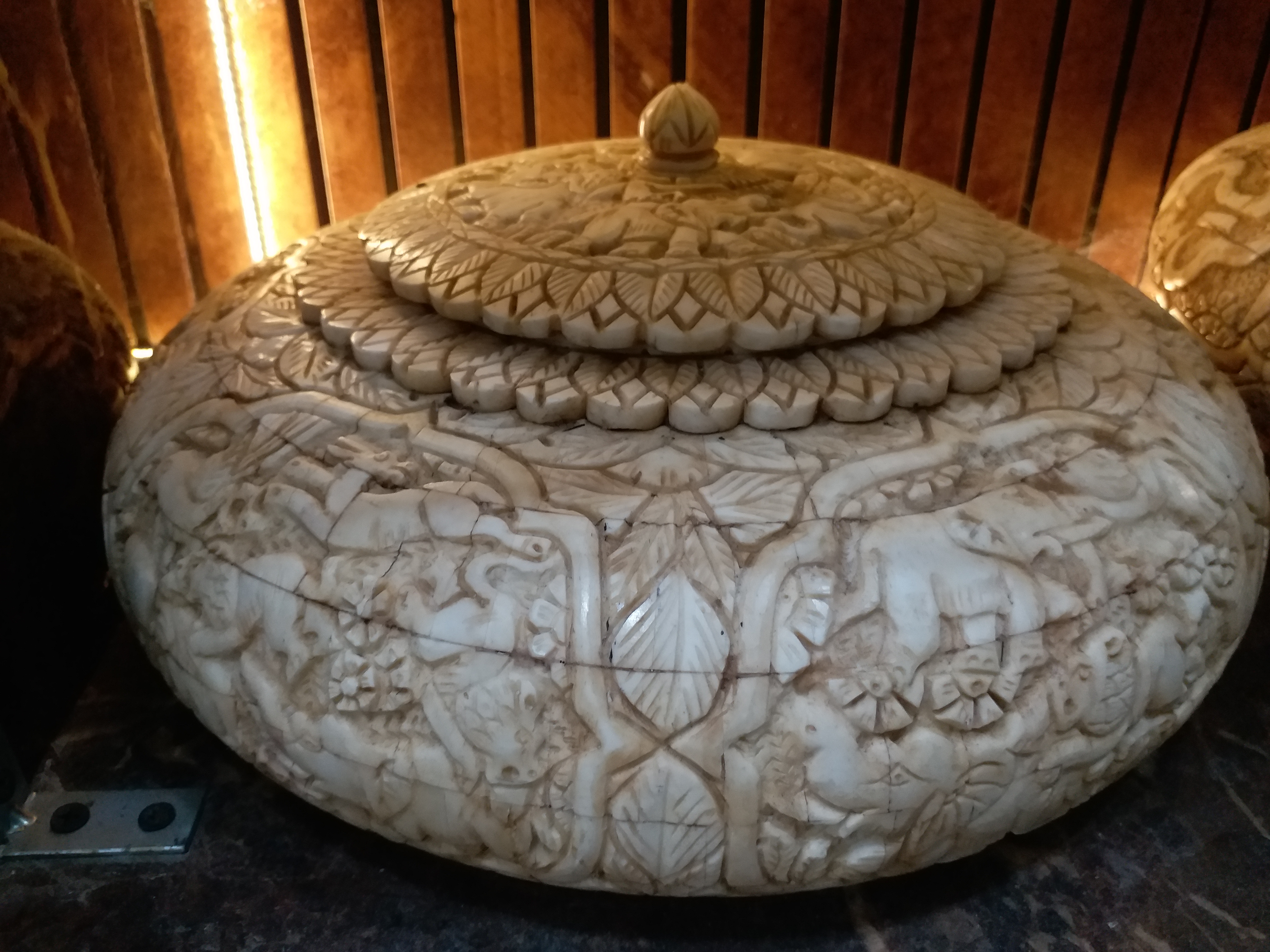 Animal Bones Products