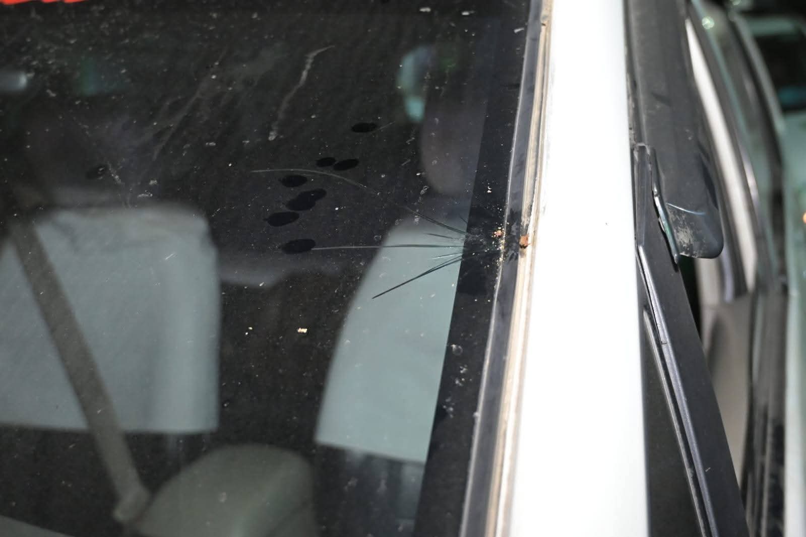 Darjeeling BJP MP Raju Bista