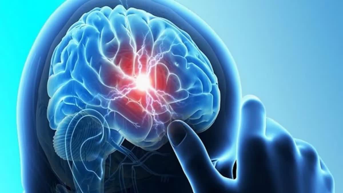 மூளையை தின்னும் அமீபா நோய் குறித்து அச்சப்பட வேண்டாம் - சபரிமலை பக்தர்களுக்கு தமிழக சுகாதாரத்துறை அறிவுறுத்தல்