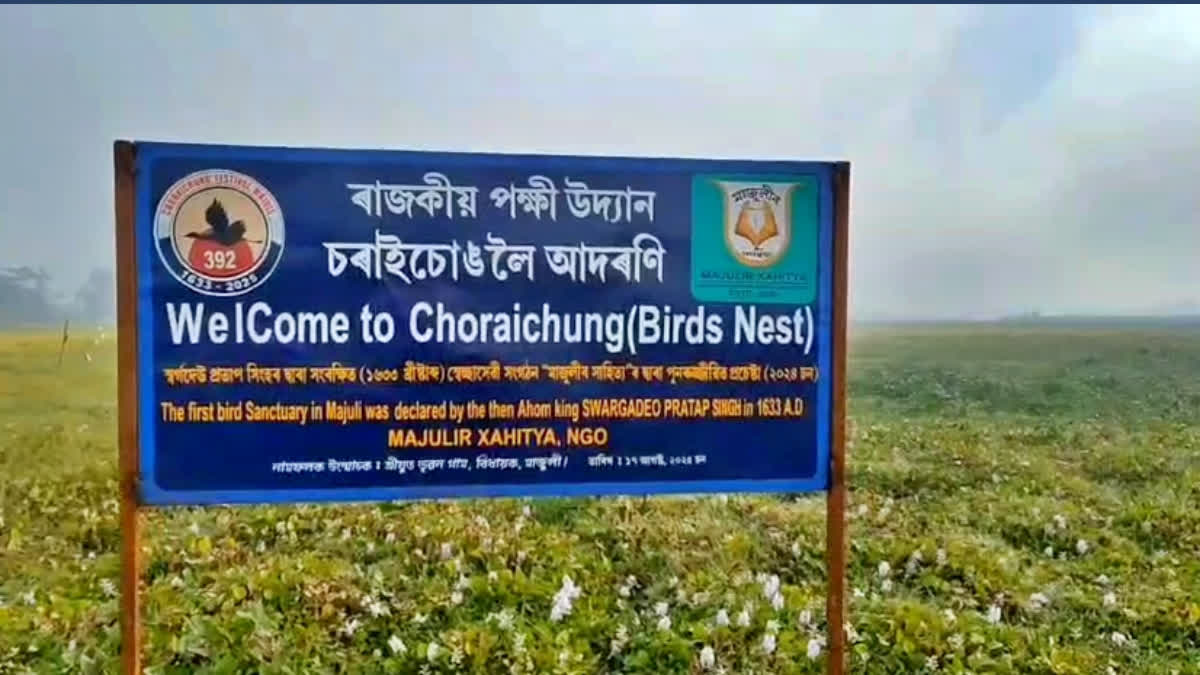 Charaichung Bird Sanctuary in Majuli