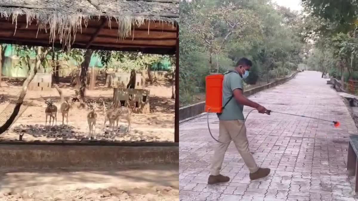 forest-department-staff-are-busy-to-sanitizing-the-kittur-rani-channamma-zoo