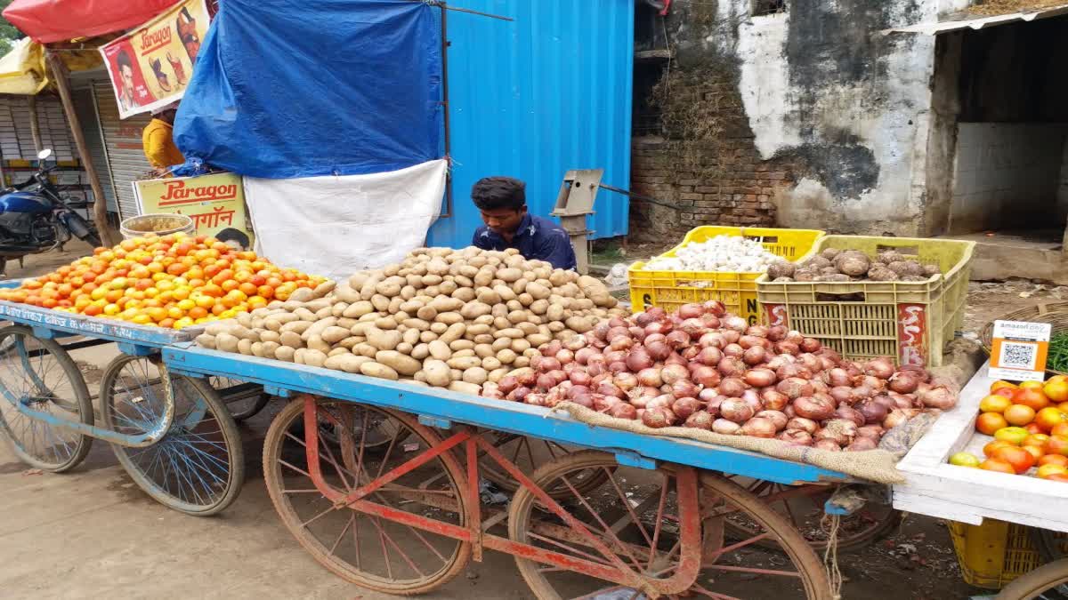 Shahdol potato cultivation