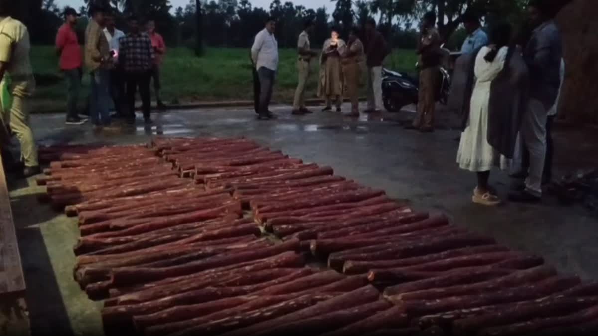 அதிமுக பிரமுகர் வீட்டில் 2 டன் செம்மரக்கட்டைகள் பறிமுதல்; உறவினரை வலைவீசி தேடும் சிறப்பு புலனாய்வு போலீஸ்!