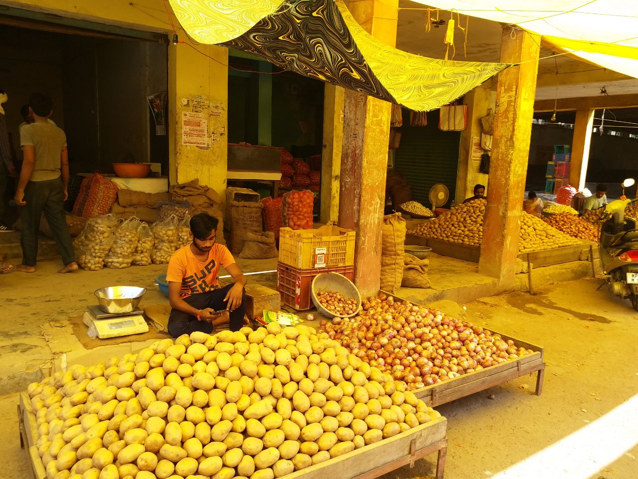 Shahdol potato cultivation Method
