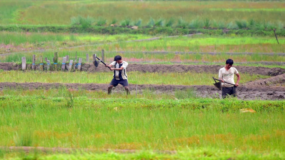 Govt Plans To Make Agri Residue Burning Punishable Under Solid Waste Management Rules Govt Plans To Make Agri Residue Burning Punishable Under Solid Waste Management Rules