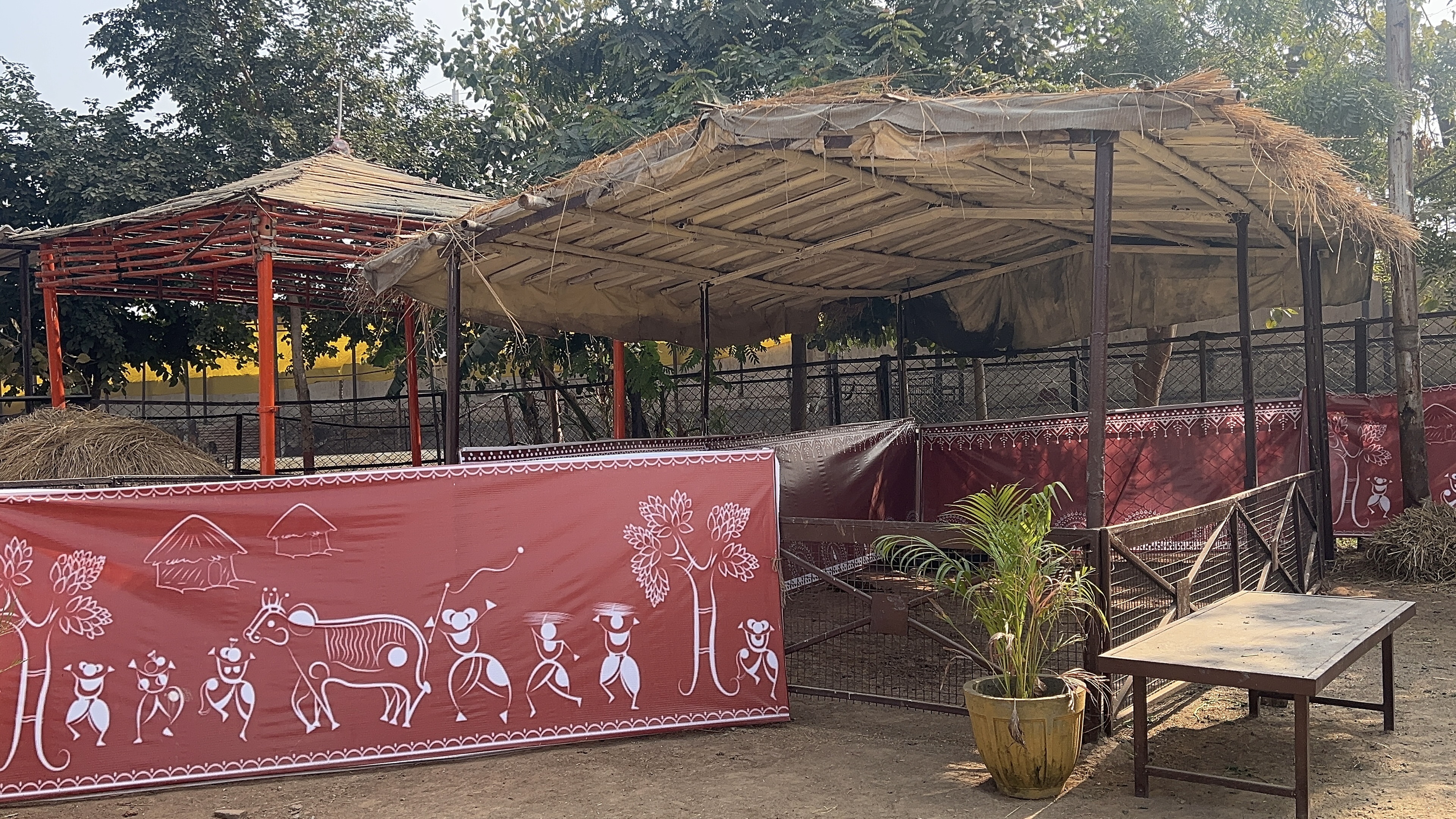 Not A Big Fat Wedding: In New Year, Adarsh Gaushala, India's First Cowshed, Gears Up For 'Eco-Friendly Marriage'