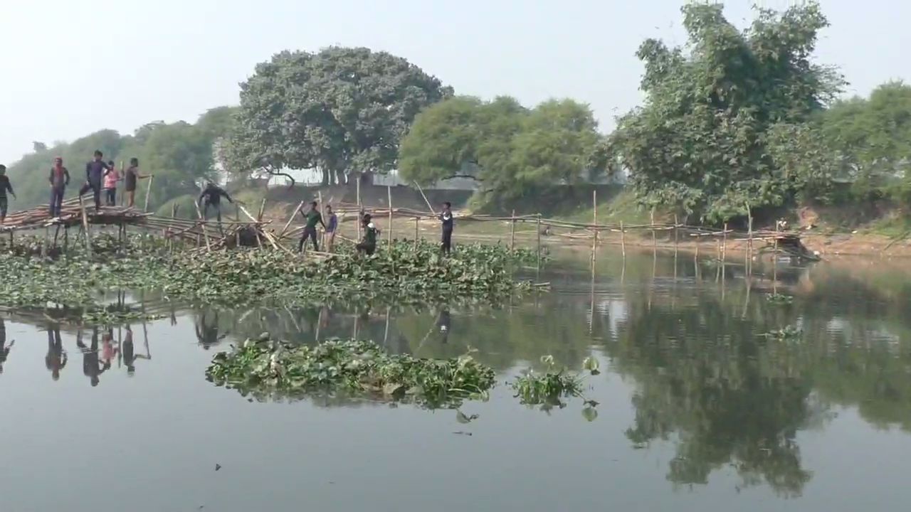 Daniyalpur Villagers Building Bamboo Bridge