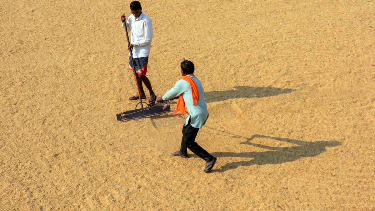 Yearender 2025: A Testing Year For India, But Growth Holds Steady Yearender 2025 A Testing Year For India, But Growth Holds Steady