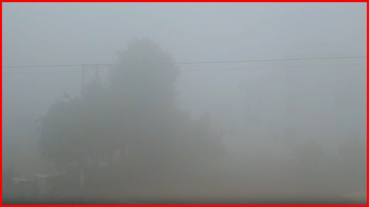 og And Dew Benefit Crops In Haryana