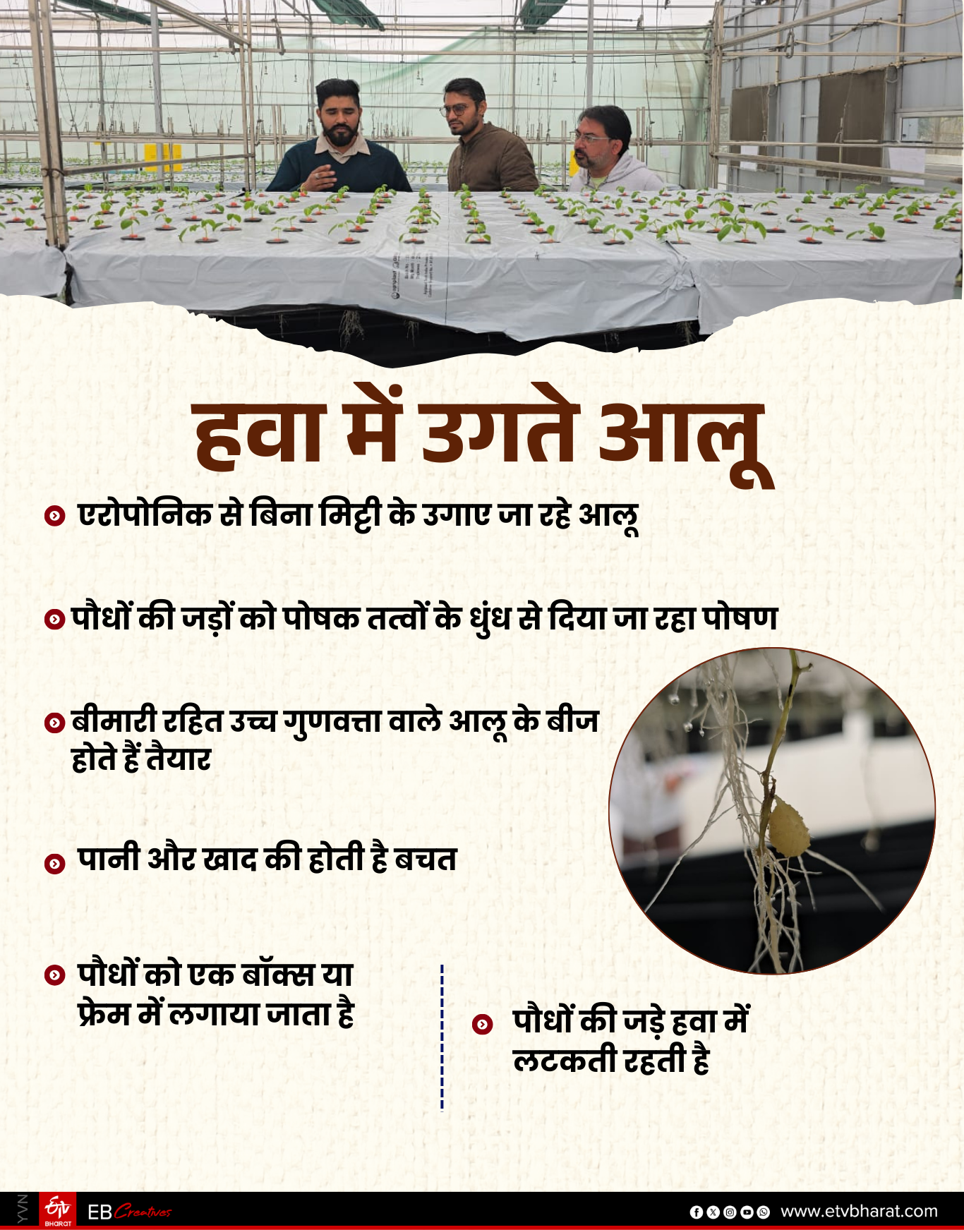 Potatoes are being planted without soil in Karnal with AeroPonics technology increasing production by 10 times