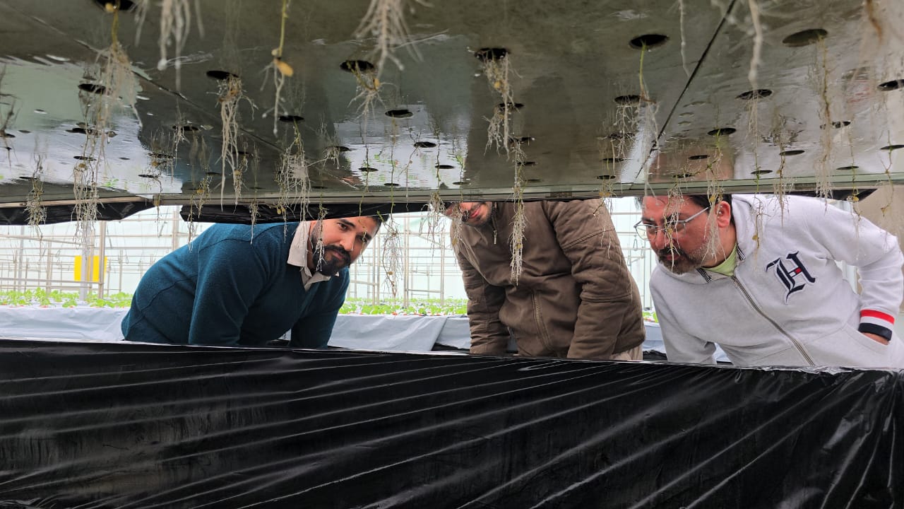 Potatoes are being planted without soil in Karnal with AeroPonics technology increasing production by 10 times