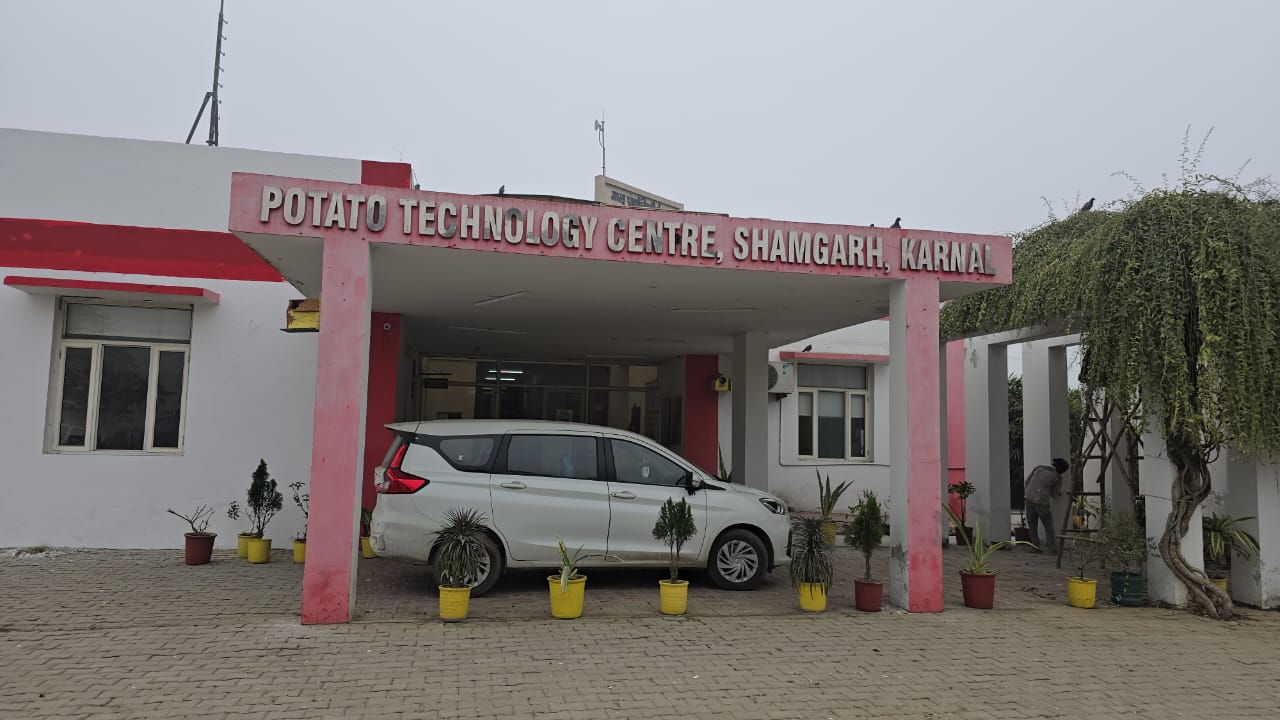 Potatoes are being planted without soil in Karnal with AeroPonics technology increasing production by 10 times