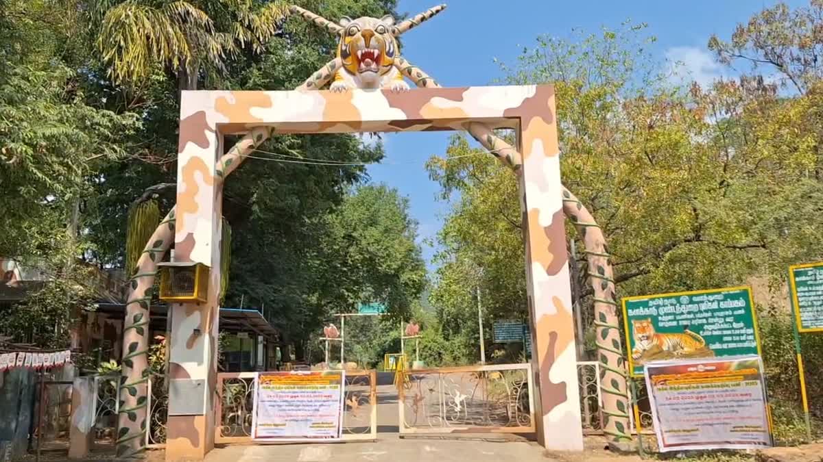 நெல்லையில் தொடங்கிய புலிகள் கணக்கெடுக்கும் பணி