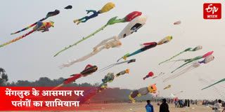 15 देशों के 32 काइट फ्लाइर्स ने लिया हिस्सा