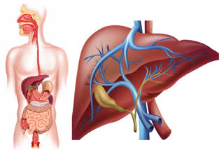 COMMON SYMPTOMS FATTY LIVER  FATTY LIVER SYMPTOMS CAUSES  FATTY LIVER  ಫ್ಯಾಟಿ ಲೀವರ್ ಕಾಯಿಲೆ ಚಿಹ್ನೆಗಳು