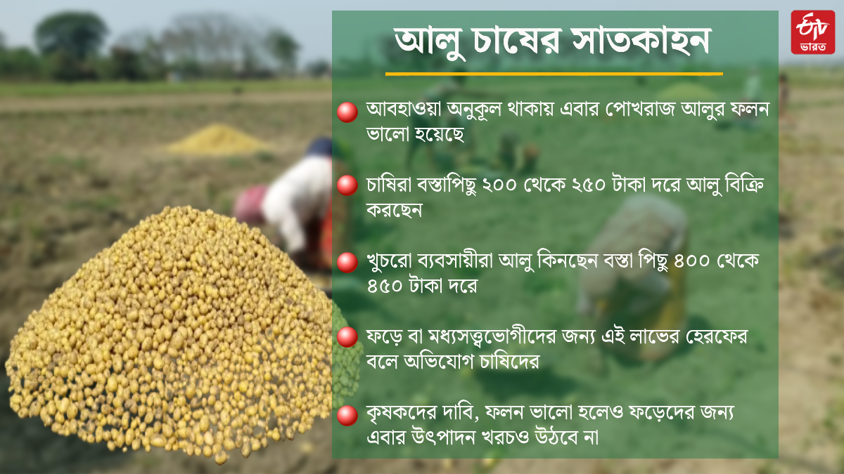 Potato Farmers Facing Crisis