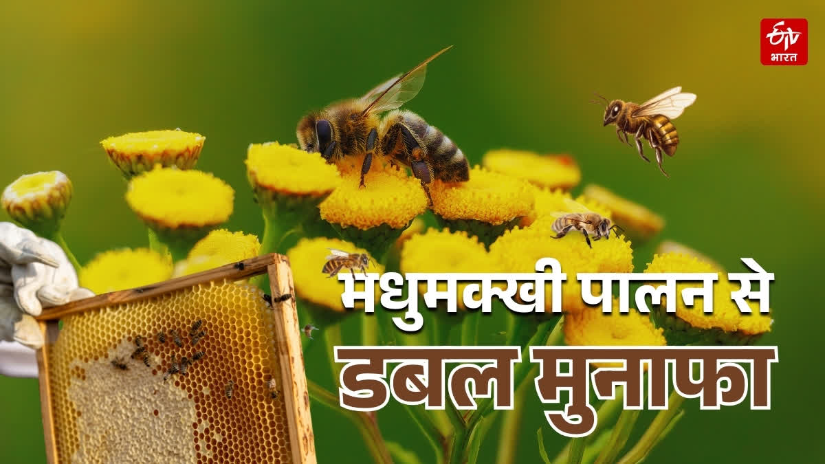 Farmers took training in beekeeping