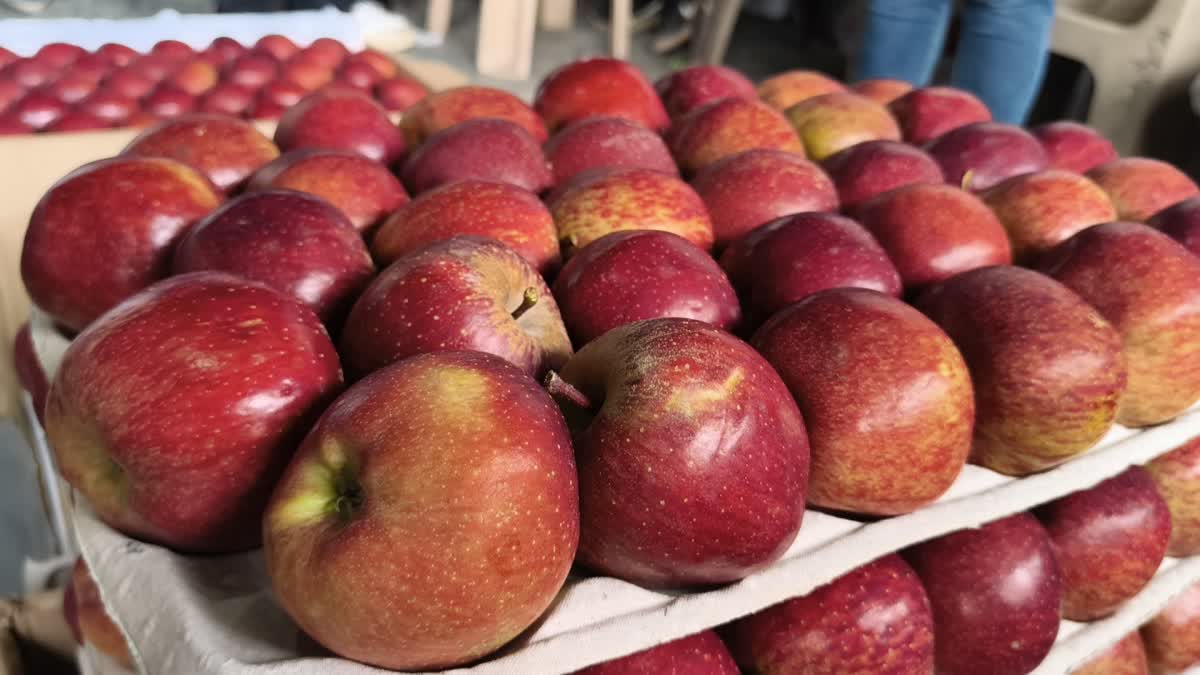 सेब कारोबारी से ठगी