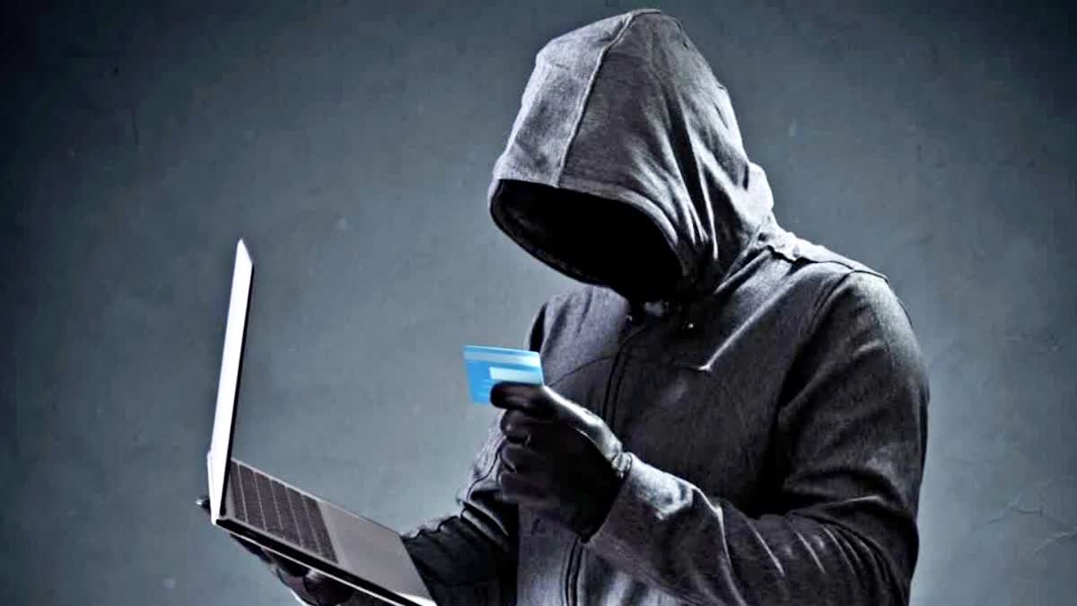 35 CYBER FRAUDS IN 24 HOURS