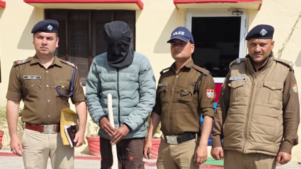 firing on forest officials