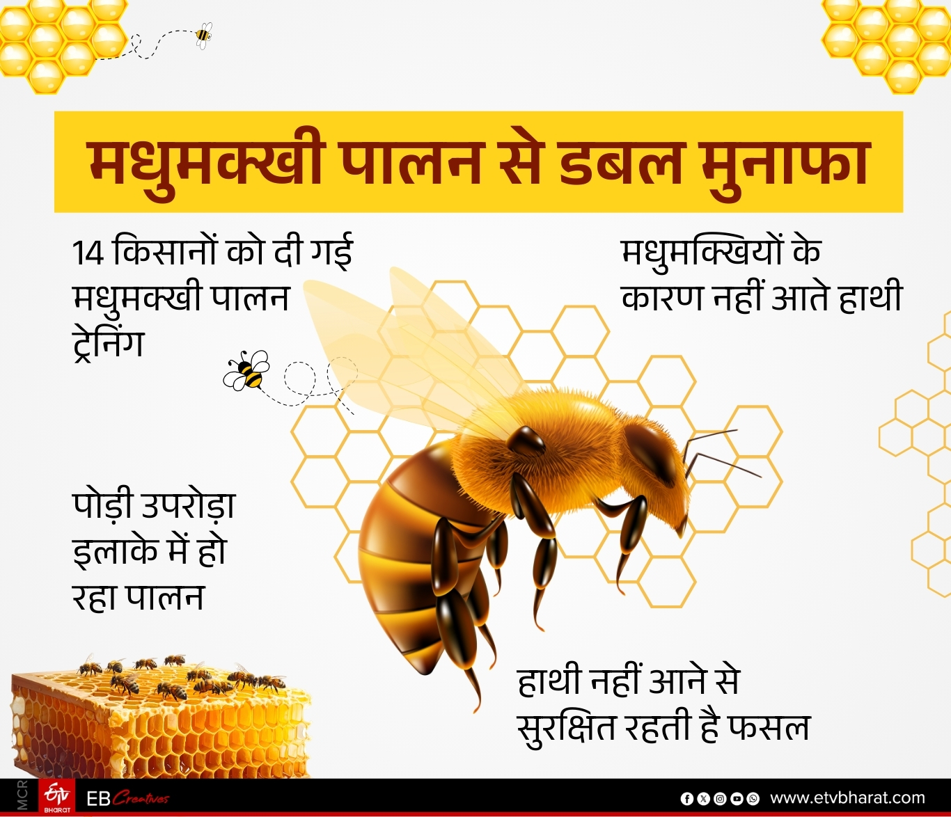 DOUBLE INCOME FROM BEEKEEPING