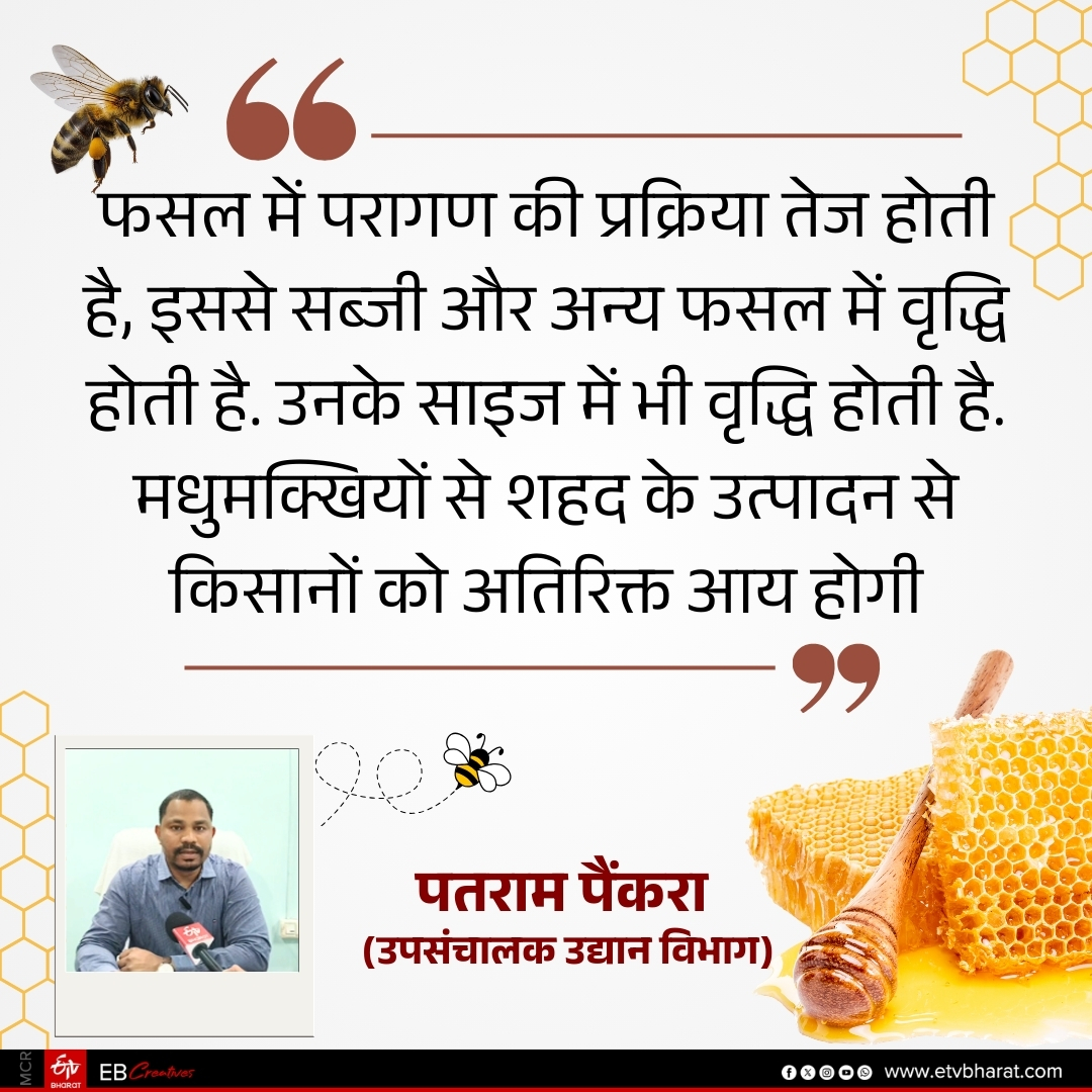 Farmers took training in beekeeping