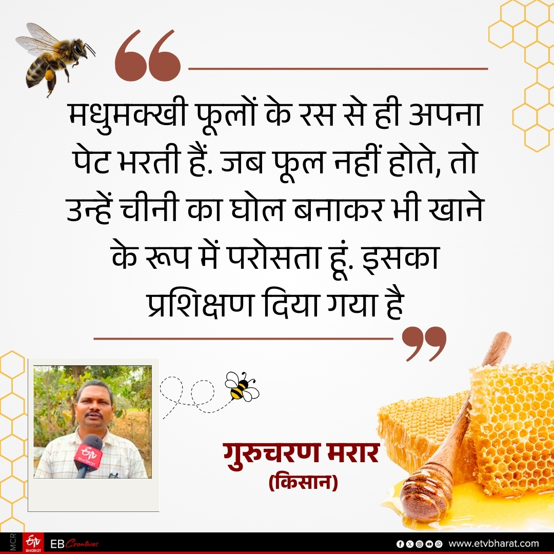 Farmers took training in beekeeping