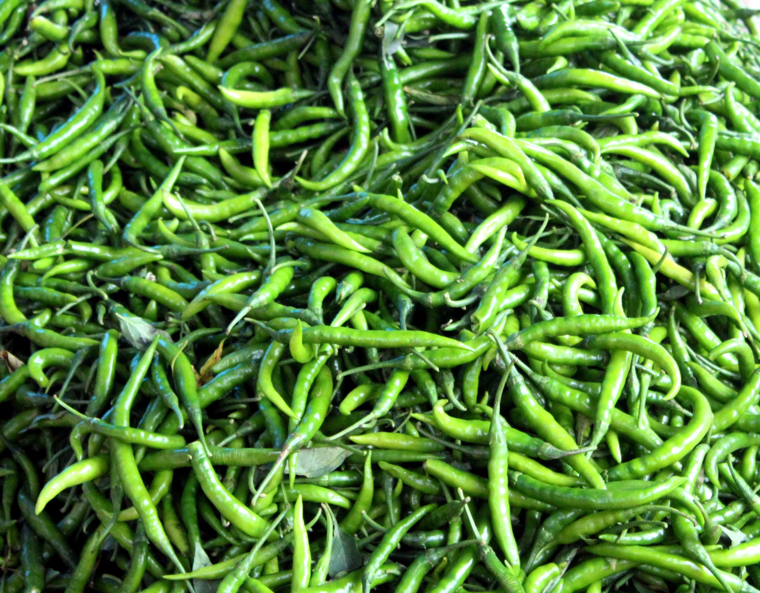 Tomato Pachadi