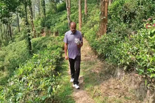 தபால்காரர் ரவீந்திரன்